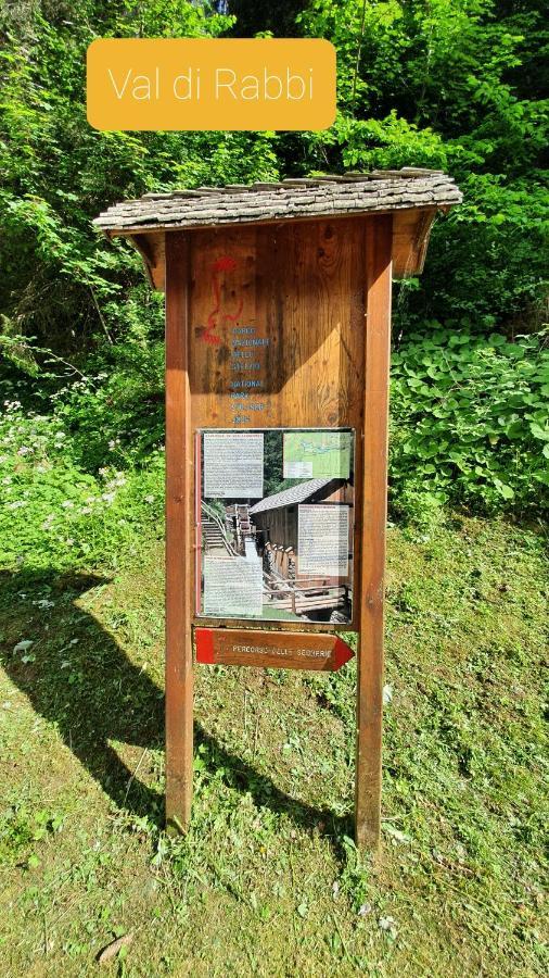 Marmot Apartment Dimaro Εξωτερικό φωτογραφία