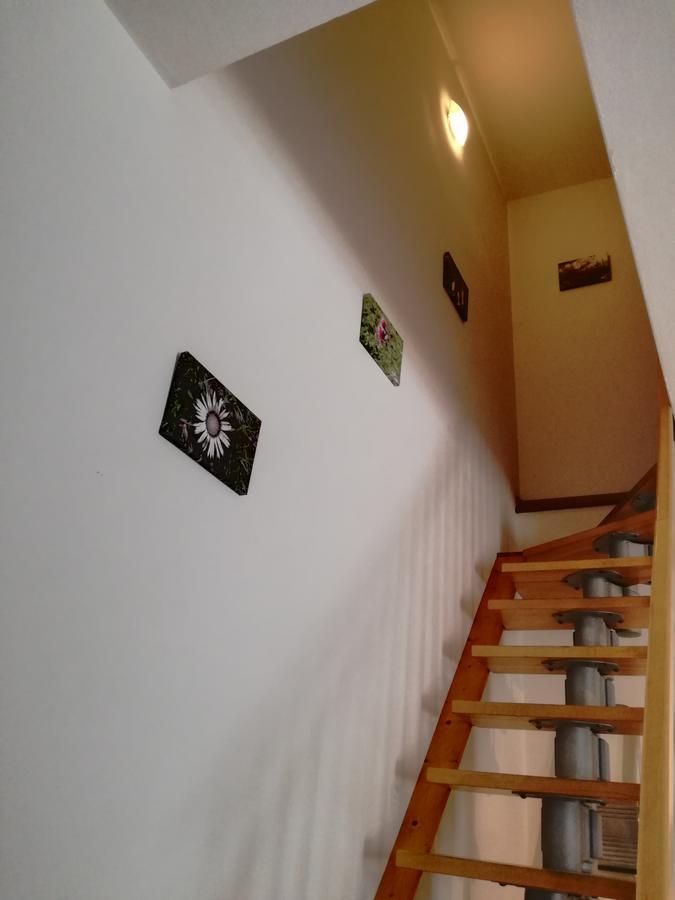 Marmot Apartment Dimaro Εξωτερικό φωτογραφία